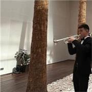 Clases de iniciación o refuerzo en la trompeta. Para más información